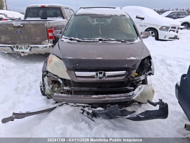 Auction sale of the 2009 Honda Cr-v Ex-l, vin: 5J6RE48709L809859, lot number: 20241749