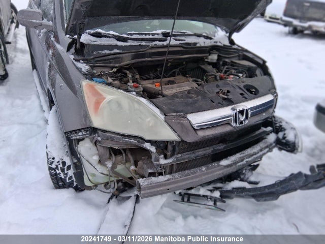 Auction sale of the 2009 Honda Cr-v Ex-l, vin: 5J6RE48709L809859, lot number: 20241749