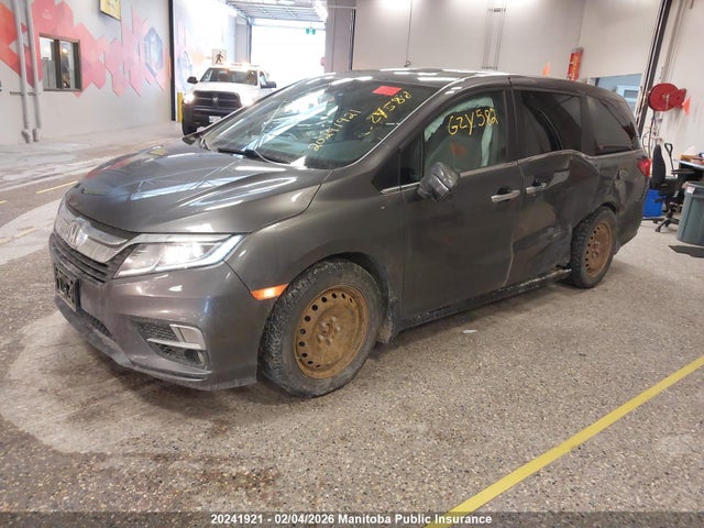 5FNRL6H6XLB501042 Honda Odyssey Ex-l