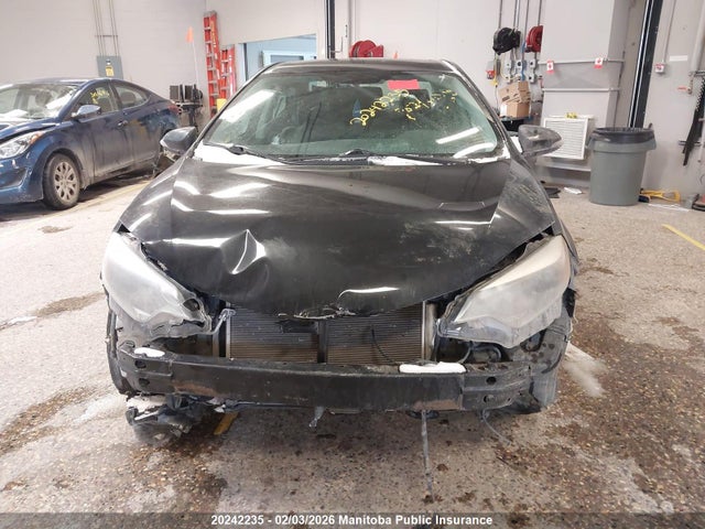 2T1BURHEXEC165875 Toyota Corolla S