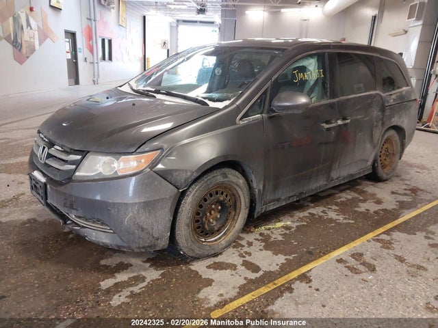 5FNRL5H60GB508260 Honda ODYSSEY EX