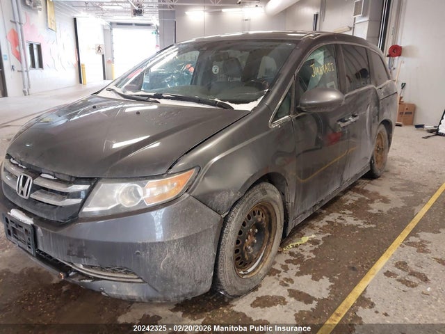 5FNRL5H60GB508260 Honda ODYSSEY EX