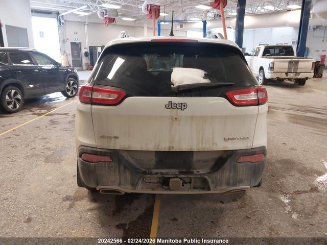 Jeep Cherokee Limited 2015 1C4PJMDS9FW651177 Image 16