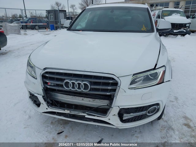 Audi SQ5 2016 WA1LCAFP2GA054543 Image 6