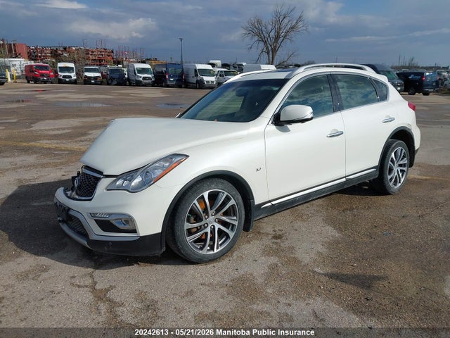 20242613 :رقم المزاد ، JN1BJ0RR5HM407035 vin ، 2017 Infiniti Qx50 مزاد بيع