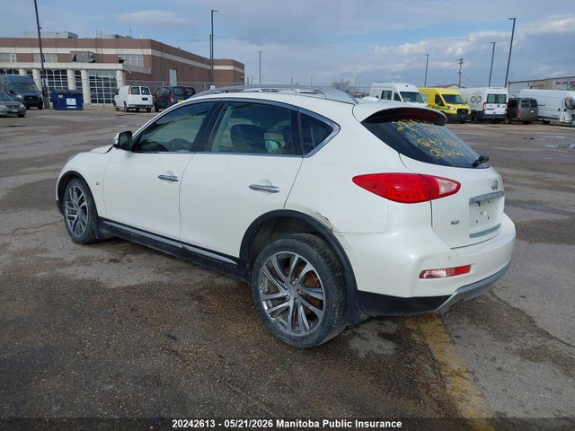 20242613 :رقم المزاد ، JN1BJ0RR5HM407035 vin ، 2017 Infiniti Qx50 مزاد بيع