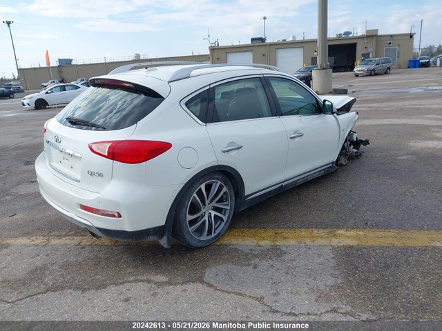 20242613 :رقم المزاد ، JN1BJ0RR5HM407035 vin ، 2017 Infiniti Qx50 مزاد بيع