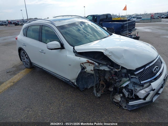 20242613 :رقم المزاد ، JN1BJ0RR5HM407035 vin ، 2017 Infiniti Qx50 مزاد بيع