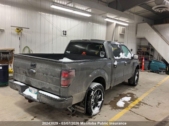20243029 :رقم المزاد ، 1FTFW1ET7EFA79608 vin ، 2014 Ford F150 Xlt Supercrew مزاد بيع