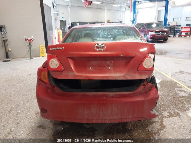 2010 Toyota Corolla მანქანა იყიდება აუქციონზე, vin: 2T1BU4EE1AC265431, აუქციონის ნომერი: 20243057