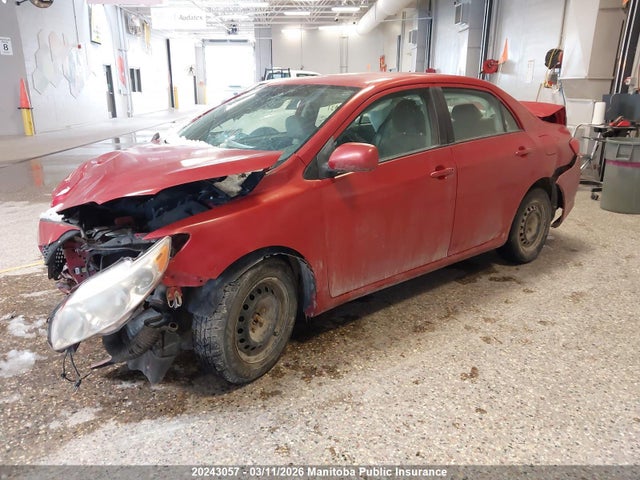 2010 Toyota Corolla მანქანა იყიდება აუქციონზე, vin: 2T1BU4EE1AC265431, აუქციონის ნომერი: 20243057