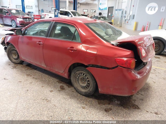 2010 Toyota Corolla მანქანა იყიდება აუქციონზე, vin: 2T1BU4EE1AC265431, აუქციონის ნომერი: 20243057