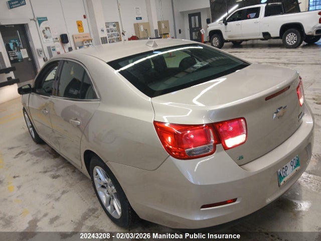 1G11C5SL8EF222492 Chevrolet MALIBU LT