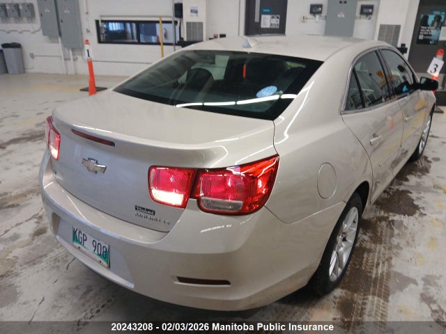 1G11C5SL8EF222492 Chevrolet MALIBU LT