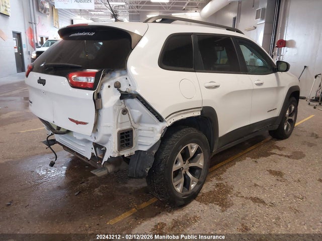 1C4PJMBS9FW614598 Jeep Cherokee Trailhawk