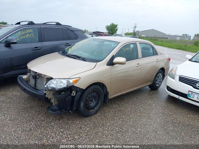 2011 Toyota Corolla Ce მანქანა იყიდება აუქციონზე, vin: 2T1BU4EE4BC560797, აუქციონის ნომერი: 20243393