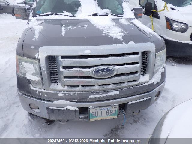 Продажа на аукционе авто 2009 Ford F150 Xlt Supercab, vin: 1FTPX14V79FA71244, номер лота: 20243465