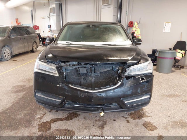 Aukcja sprzedaży 2016 Acura Mdx, vin: 5FRYD4H25GB503344, numer aukcji: 20243713