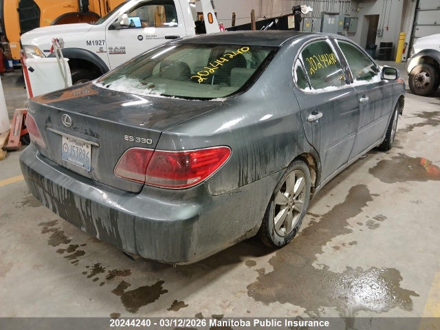 20244240 :رقم المزاد ، JTHBA30G255075649 vin ، 2005 Lexus Es 330 مزاد بيع
