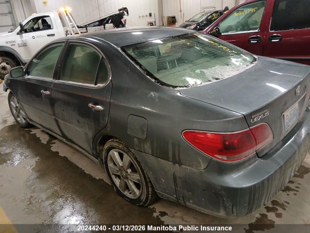 20244240 :رقم المزاد ، JTHBA30G255075649 vin ، 2005 Lexus Es 330 مزاد بيع