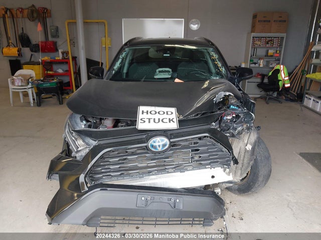 20244326 :رقم المزاد ، 2T3RWRFVXLW083479 vin ، 2020 Toyota Rav4 Xle Hybrid مزاد بيع