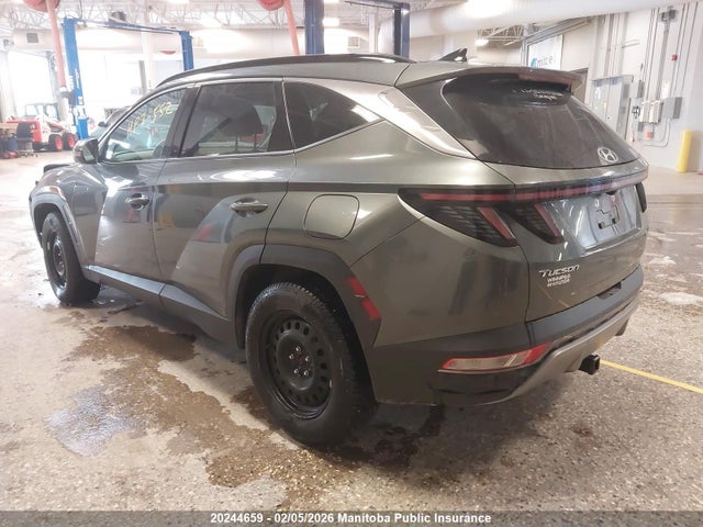 KM8JCCA12PU107800 Hyundai Tucson Luxury Hybrid