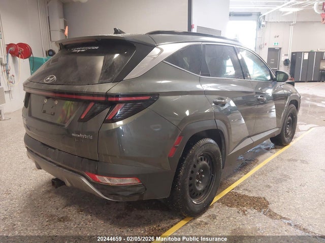 KM8JCCA12PU107800 Hyundai Tucson Luxury Hybrid