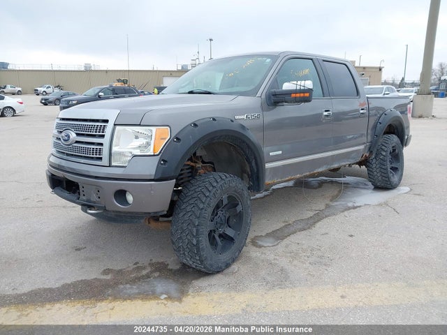 Продажа на аукционе авто 2011 Ford F150 Platinum Supercrew, vin: 1FTFW1ETXBFB49887, номер лота: 20244735