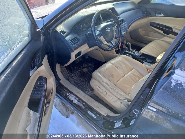 Aukcja sprzedaży 2010 Honda Accord Crosstour Ex-l V6, vin: 5J6TF2H53AL802091, numer aukcji: 20244963
