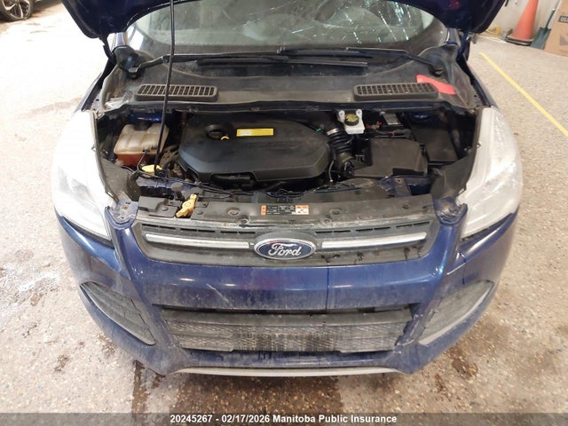 1FMCU9GX1GUA46489 Ford ESCAPE SE