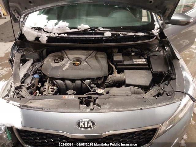 20245591 :رقم المزاد ، 3KPFL4A8XHE024791 vin ، 2017 Kia Forte Ex مزاد بيع