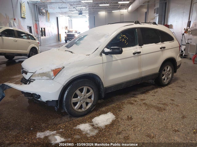 Aukcja sprzedaży 2008 Honda Cr-v Lx, vin: 5J6RE38388L801773, numer aukcji: 20245905