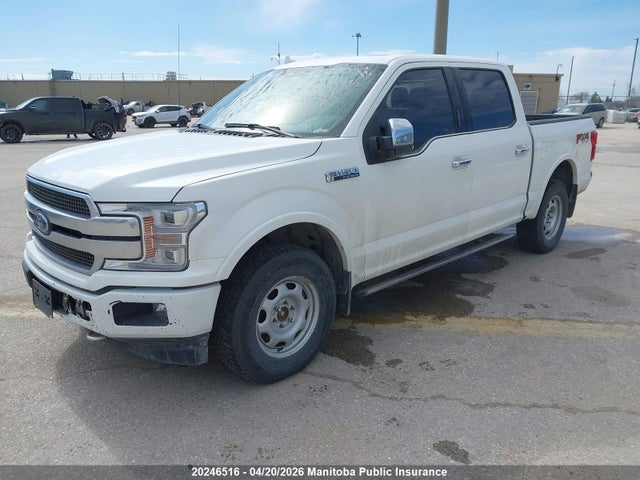 2020 Ford F150 Platinum Supercrew მანქანა იყიდება აუქციონზე, vin: 1FTEW1E53LFB11030, აუქციონის ნომერი: 20246516