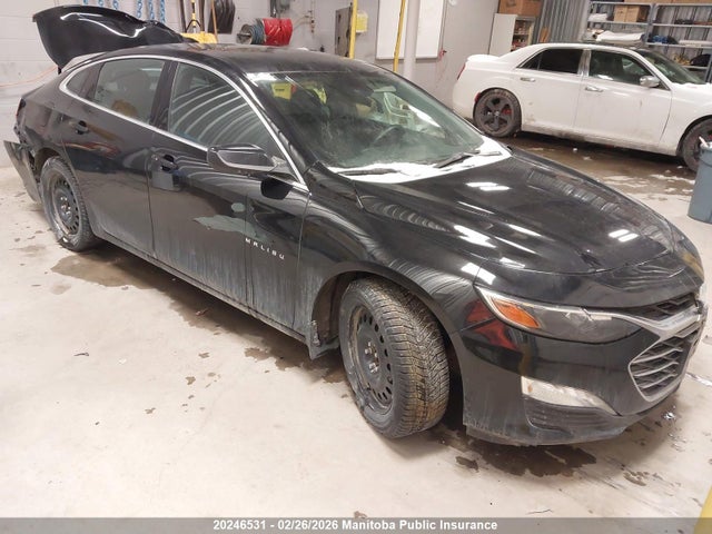 1G1ZD5ST5RF110481 auction archive image