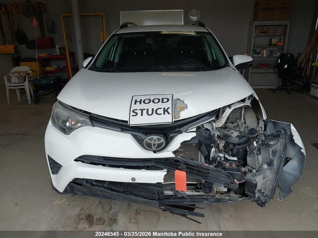 Aukcja sprzedaży 2017 Toyota Rav4 Le, vin: 2T3BFREV9HW546366, numer aukcji: 20246545