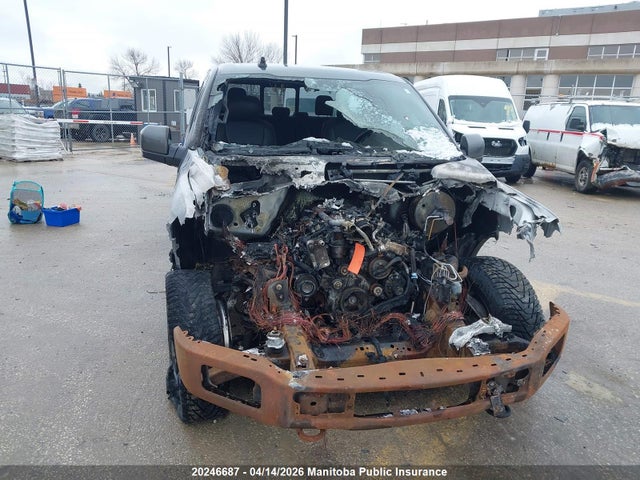 Продажа на аукционе авто 2020 Ford F-series, vin: 1FTEW1EP2LFA01846, номер лота: 20246687