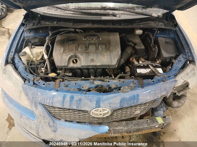 Продажа на аукционе авто 2009 Toyota Corolla, vin: 2T1BU40E89C094163, номер лота: 20246948