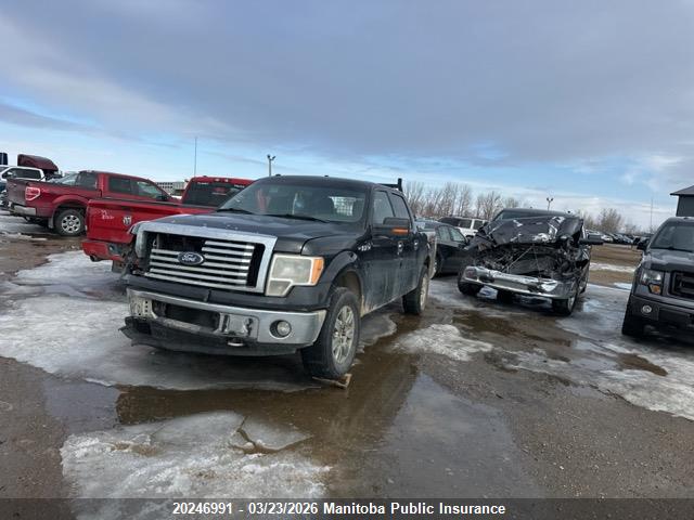 Продажа на аукционе авто 2011 Ford F150 Fx4 Supercrew, vin: 1FTFW1EF5BFA01687, номер лота: 20246991