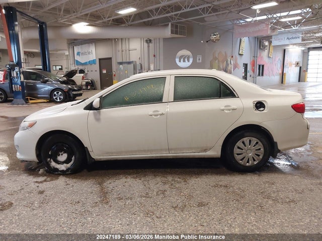 20247189 :رقم المزاد ، 2T1BU4EE2AC424604 vin ، 2010 Toyota Corolla Ce مزاد بيع