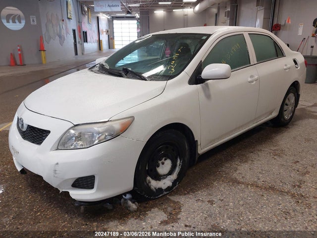 20247189 :رقم المزاد ، 2T1BU4EE2AC424604 vin ، 2010 Toyota Corolla Ce مزاد بيع