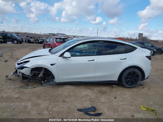 Aukcja sprzedaży 2025 Tesla Model Y 75d Long Range, vin: 7SAYGDEE2SF273605, numer aukcji: 20247224