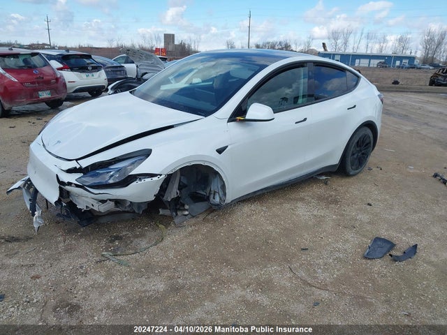 Aukcja sprzedaży 2025 Tesla Model Y 75d Long Range, vin: 7SAYGDEE2SF273605, numer aukcji: 20247224
