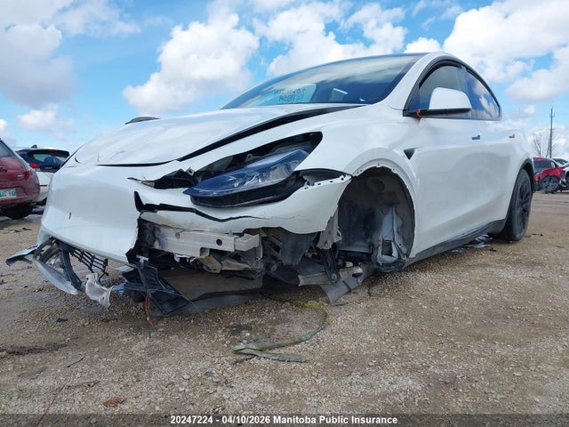 Aukcja sprzedaży 2025 Tesla Model Y 75d Long Range, vin: 7SAYGDEE2SF273605, numer aukcji: 20247224