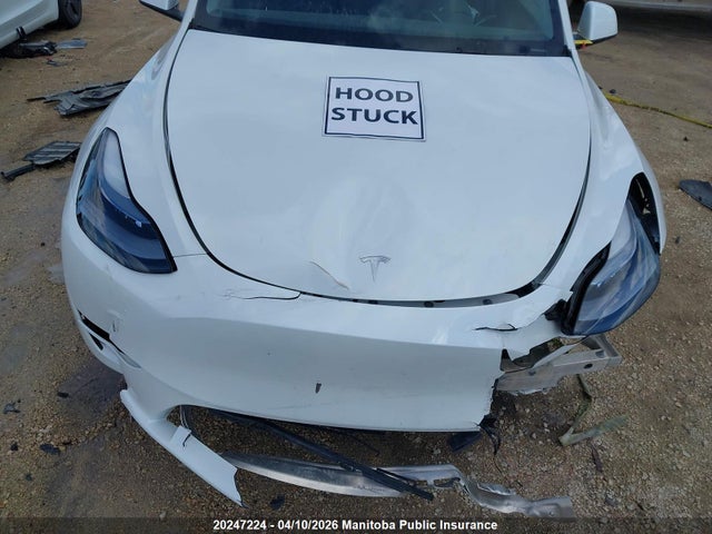 Aukcja sprzedaży 2025 Tesla Model Y 75d Long Range, vin: 7SAYGDEE2SF273605, numer aukcji: 20247224