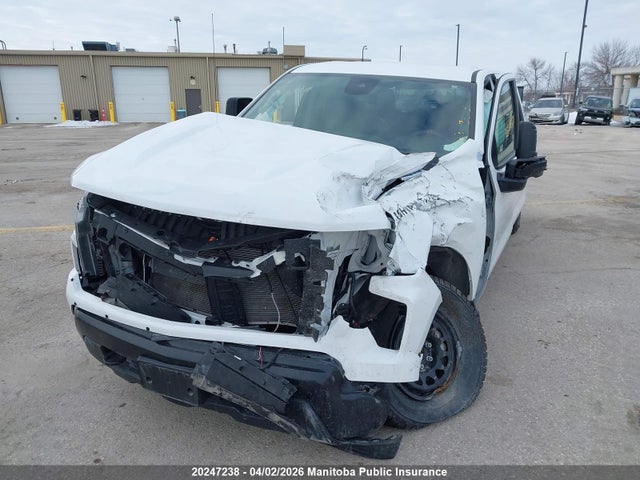 Продажа на аукционе авто 2023 Chevrolet Silverado 1500 Work Truck, vin: 1GCUDAED2PZ267069, номер лота: 20247238