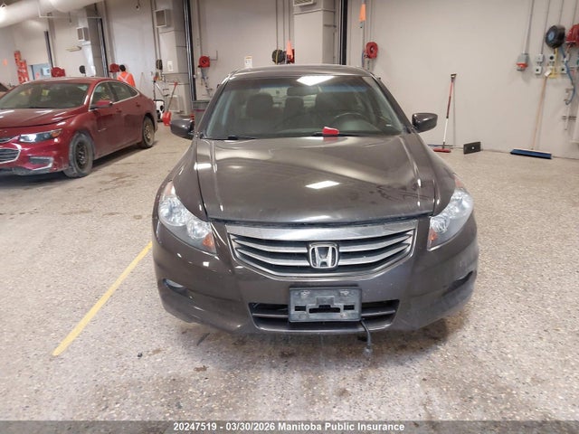 2011 Honda Accord Ex-l V6 მანქანა იყიდება აუქციონზე, vin: 1HGCP3F8XBA800178, აუქციონის ნომერი: 20247519