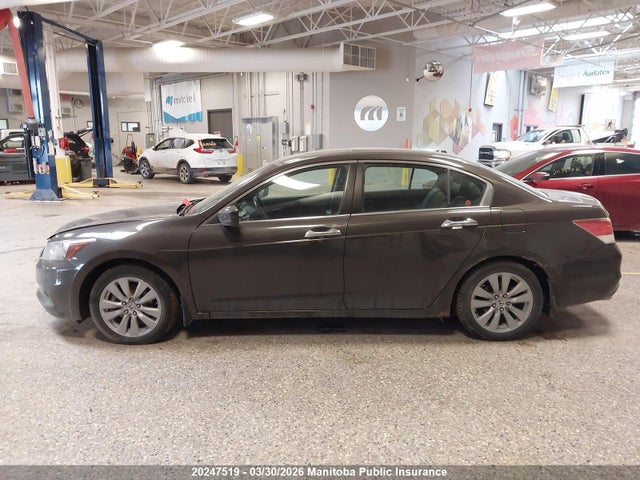 2011 Honda Accord Ex-l V6 მანქანა იყიდება აუქციონზე, vin: 1HGCP3F8XBA800178, აუქციონის ნომერი: 20247519