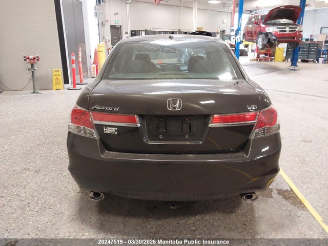 2011 Honda Accord Ex-l V6 მანქანა იყიდება აუქციონზე, vin: 1HGCP3F8XBA800178, აუქციონის ნომერი: 20247519