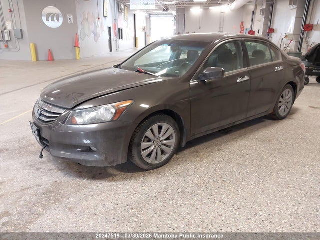 2011 Honda Accord Ex-l V6 მანქანა იყიდება აუქციონზე, vin: 1HGCP3F8XBA800178, აუქციონის ნომერი: 20247519