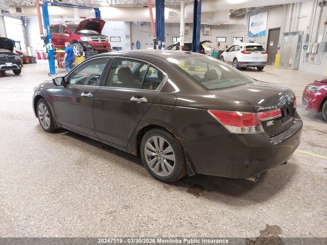 2011 Honda Accord Ex-l V6 მანქანა იყიდება აუქციონზე, vin: 1HGCP3F8XBA800178, აუქციონის ნომერი: 20247519